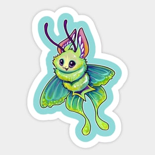 Baterfly Sticker